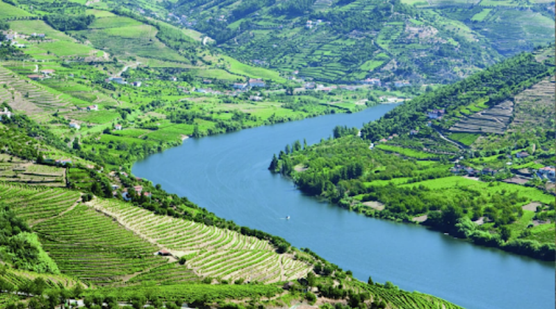 Rio Douro e Vista parcial dos socalcos